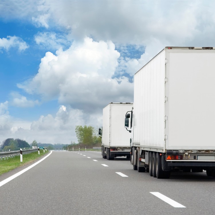 Moving and handyman in Indianapolis, IN