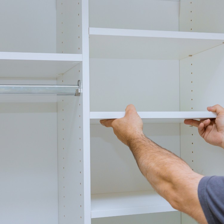 Moving and handyman in Indianapolis, IN